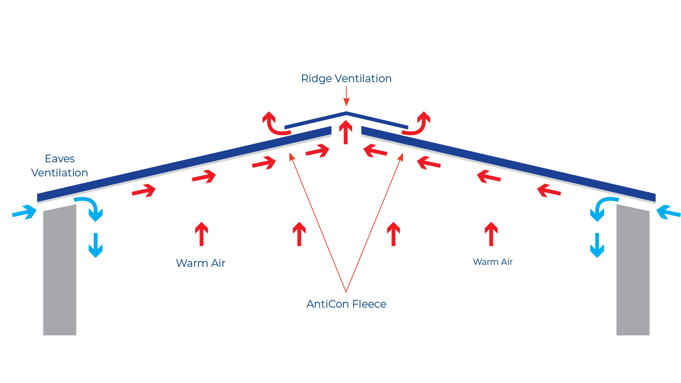 Anticon cross section linear