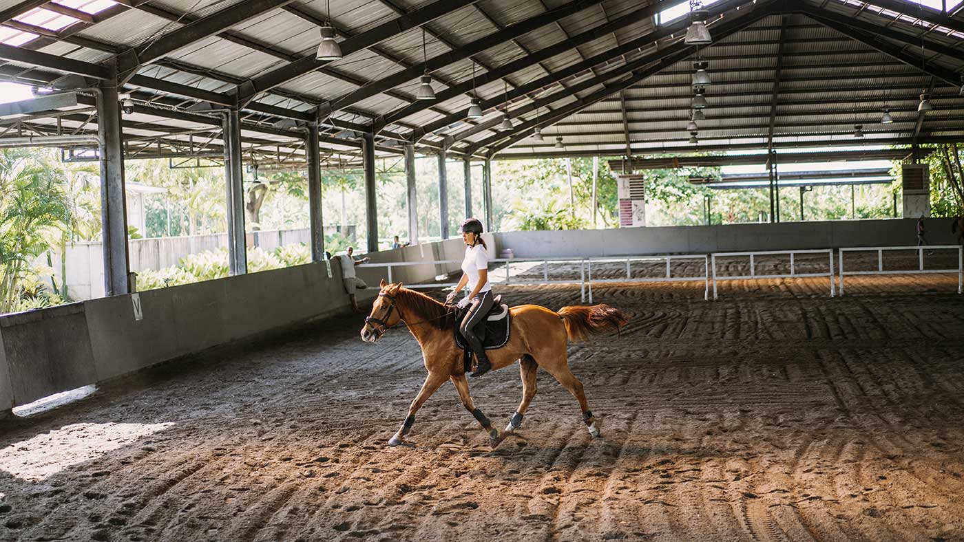 horse rider in single skin building